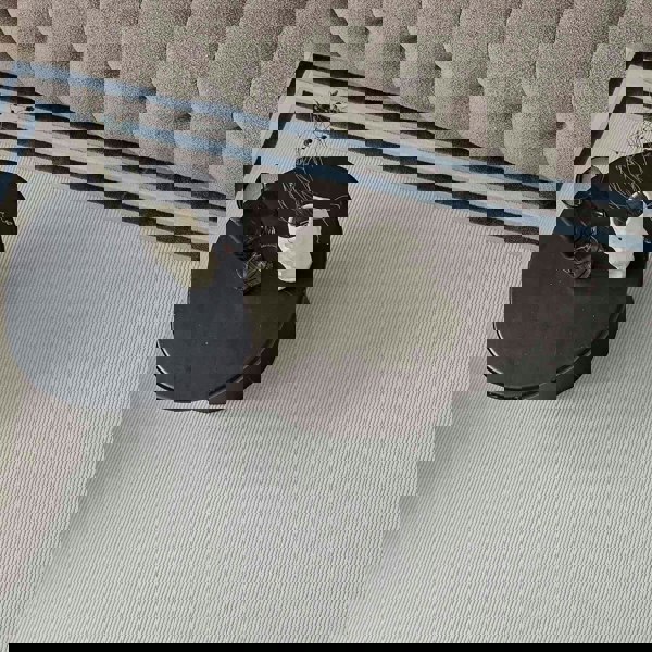 Bordered Living Room rug, blue-cream colours, stain-resistant and non-shedding