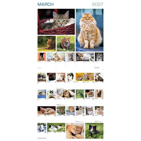 365 Days Of Cats Calendar 2027, Wall Calendars, Month To View, Cats, Gift