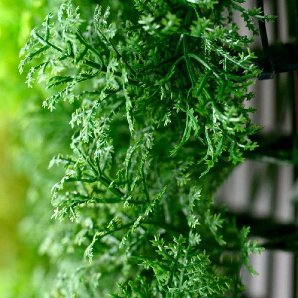 Artificial Moss Living Wall Panel 1m x 1m – Dark Green Hedge Mat Close Detail