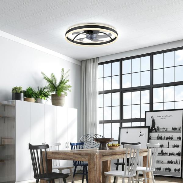 Ceiling Fan With Light