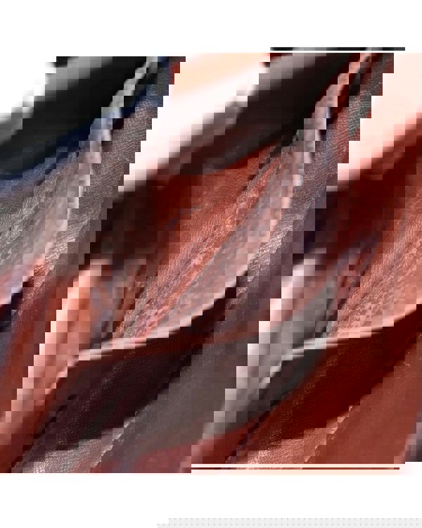 186343125.jpg