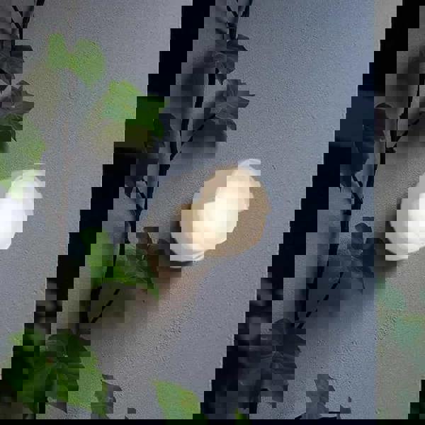 4 Watt Round White Garden Wall Light - Ultra Beam Lighting Ltd