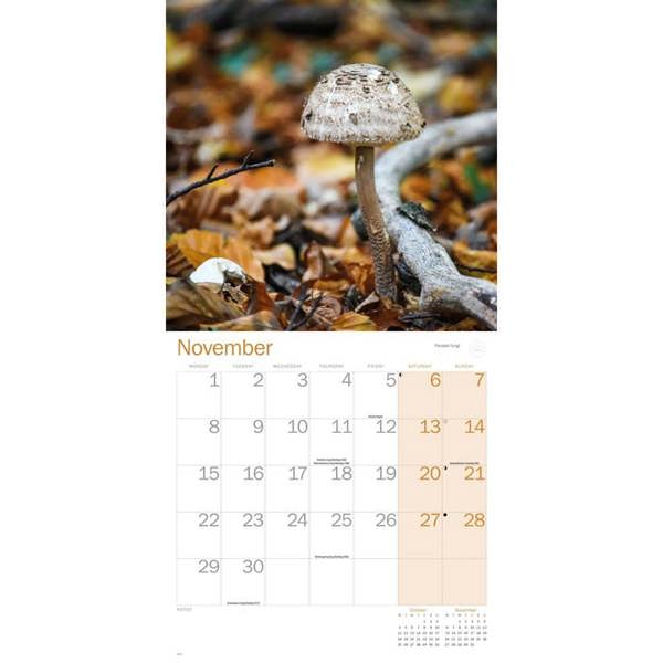 Royal Botanic Gardens, Kew In Colour Calendar 2027, Wall Calendars, Month To View, Lifestyle, Gift