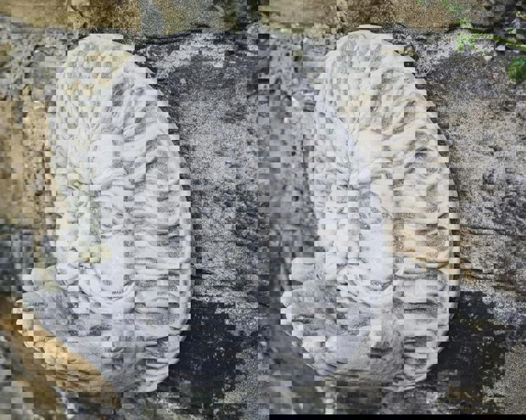 Large Stone Cast Wind Wall Plaque