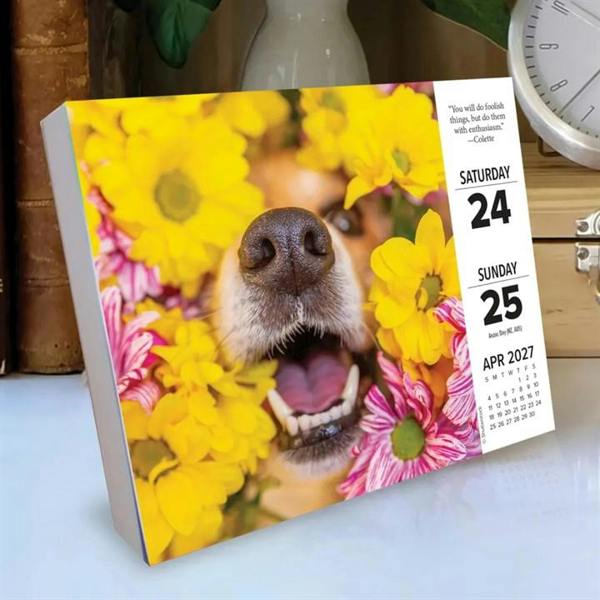 What Dogs Teach Us Desk Calendar 2027, Desk Calendars, Day To View, Dogs, Gift