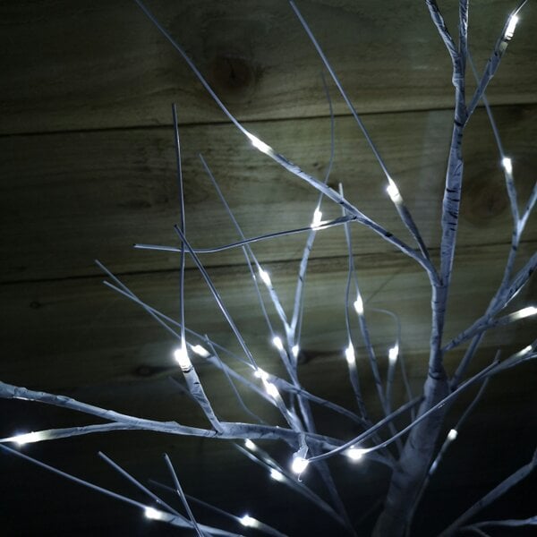 Samuel Alexander 1.5m (5ft) Indoor Outdoor Christmas Lit Birch Tree with 64 Ice White LEDs
