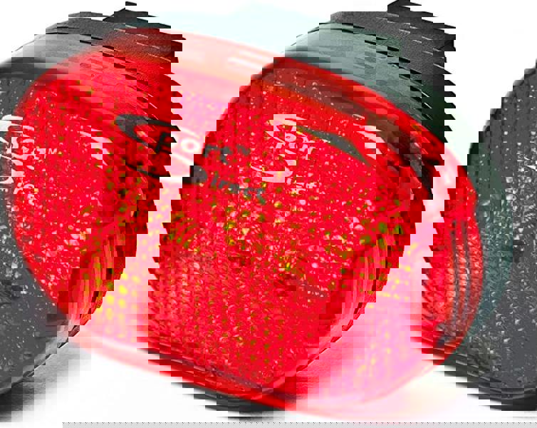 Sport Direct Mega Bright 3 x Red LEDs Battery Rear Bike Light