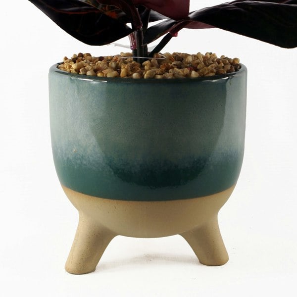 Leaf 35cm Artificial Ficus Plant with Teal Blue Green Ceramic Planter