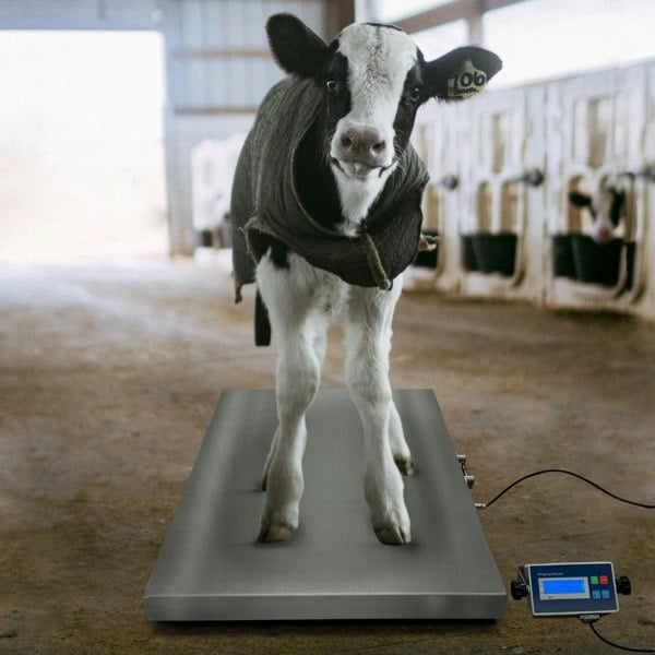 T-mech Vet Scales 60cm x 90cm