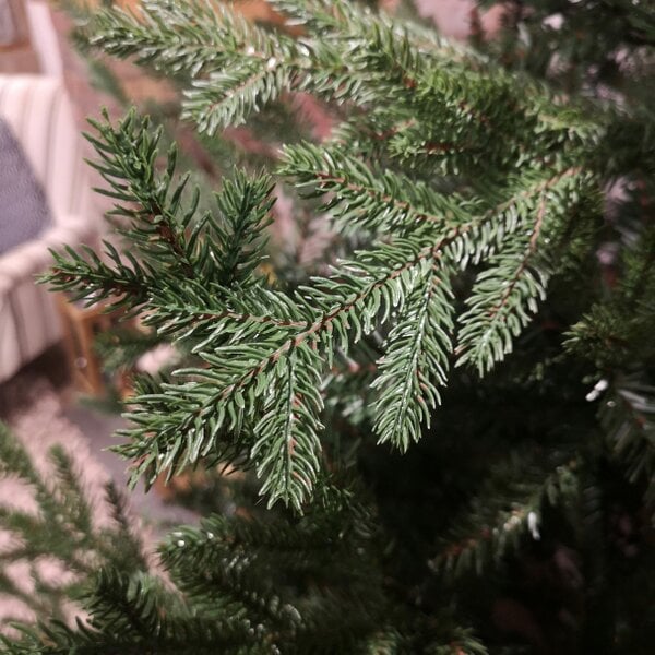 Samuel Alexander 7ft 210cm Green Glenshee Spruce Artificial Christmas Tree PE and PVC Mix Natural Look