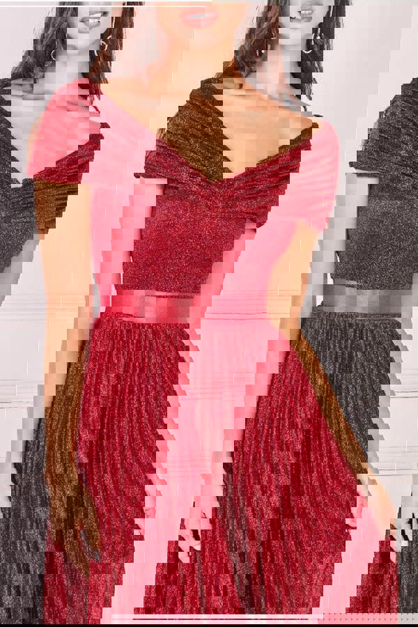 Bardot Pleated Skirt Maxi Dress - Wine DR3096A