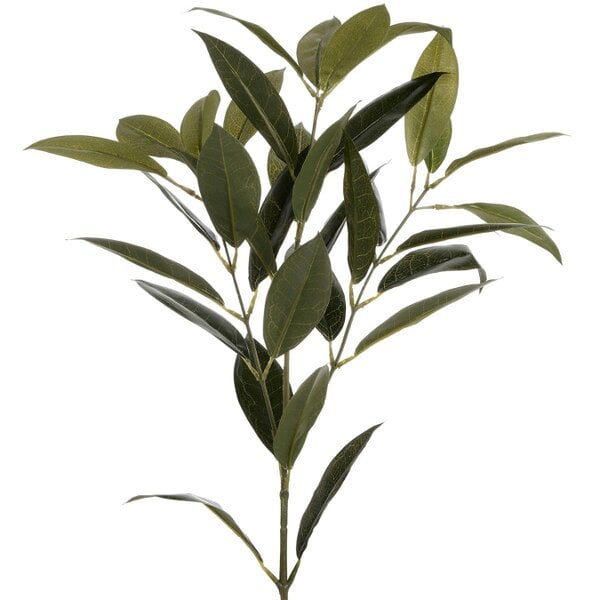 Wyld Haus Set of 3 Artificial Flowers Faux Bay Leaf Sprays