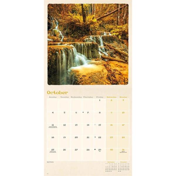 Scenic Woodland Calendar 2027, Wall Calendars, Month To View, Natural World, Gift