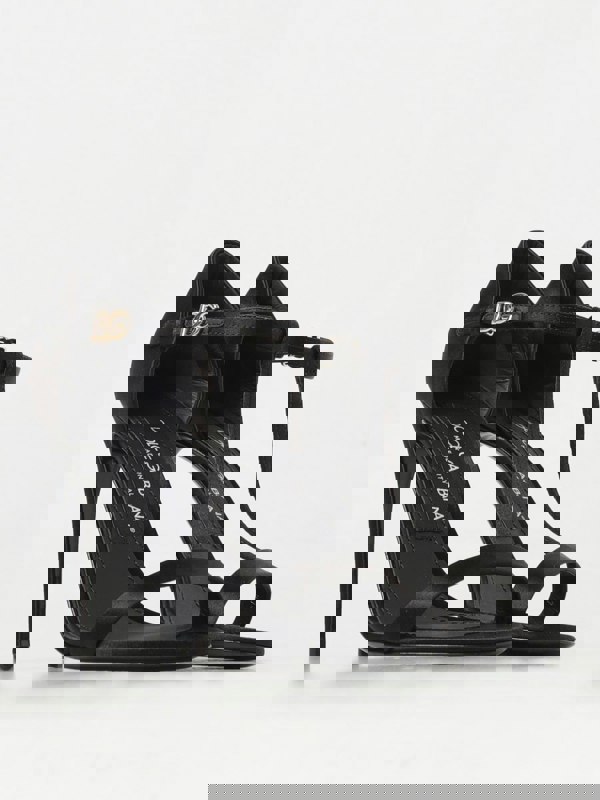 207245980.jpg
