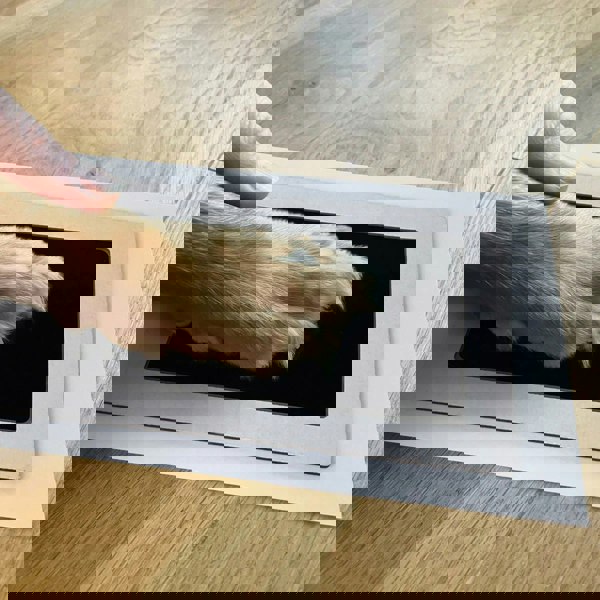 Pet Paw Print Ink Pad Kit. Mess-Free Keepsake for Cats and Dogs