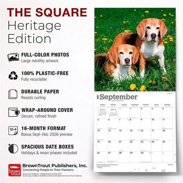 Beagles Calendar 2027, Wall Calendars, Month To View, Dogs, Gift