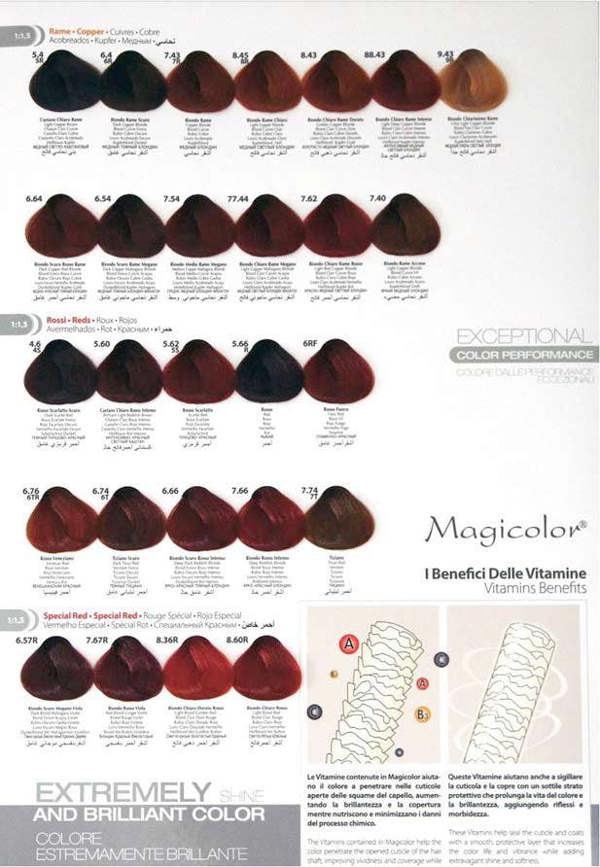 MagiColor Professional Permanent  Creme Color 100ml Sandy Blonde (12.4)