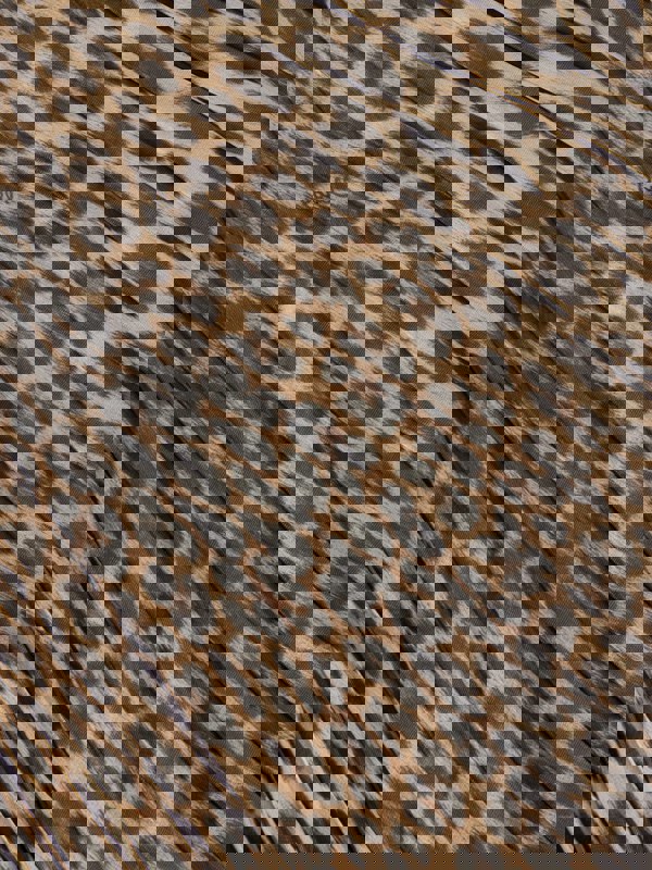 Roberto Cavalli Girls Pleated Skirt