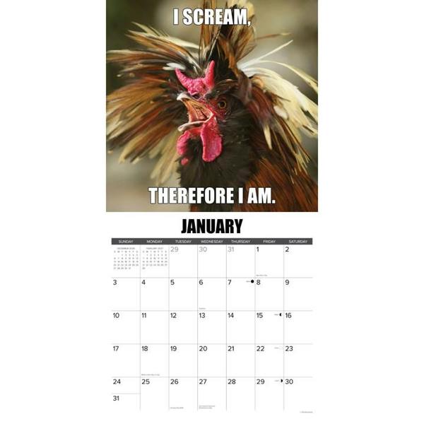 No Clucks Given Calendar 2027, Wall Calendars, Month To View, Humour, Gift