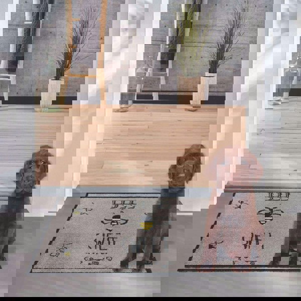 Small Doormat For Kitchen & Hallways | The Rugs