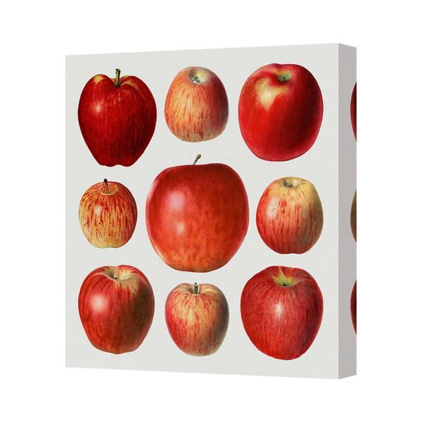 Benjamin Tate Design Contemporary Apple Canvas Art Print On Deep Gallery Frame UK Made