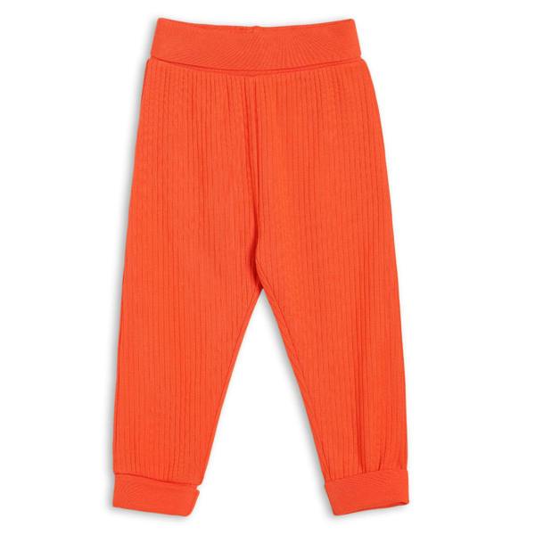 Mini Cuddles Baby Boys 3pk Printed & Solid Joggers, Multicolour