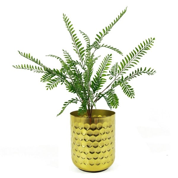 Leaf 6 x 55cm Himilayan Maidenhair Fern Bush Dark Green Plant