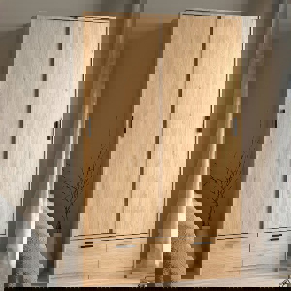 Furniture To Go Line Wardrobe with 2 Doors + 2 Drawers in Jackson Hickory Oak