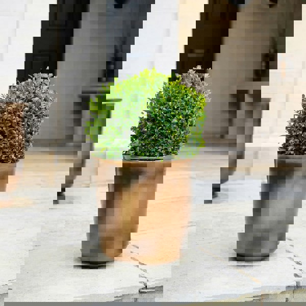 #size_wide