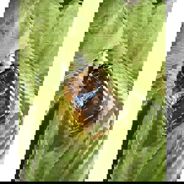 Rave Women Eau de Parfum bottle on green fabric