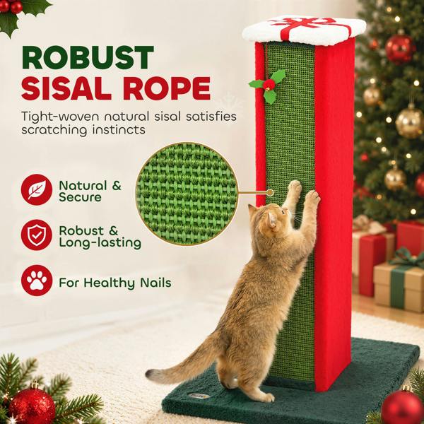 Cat Scratching Post
