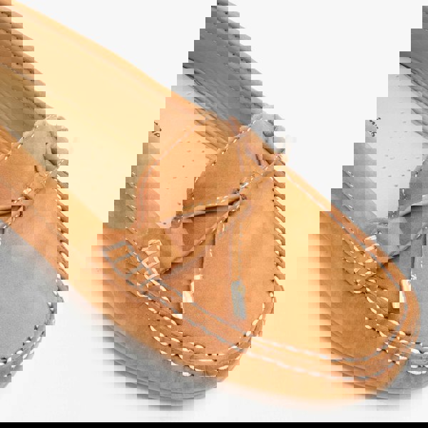 1582553015-10748700.jpg