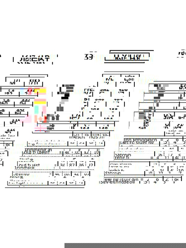 Paulo Due Women's Long Sleeve Roll Neck Jumper Fluffy Knit