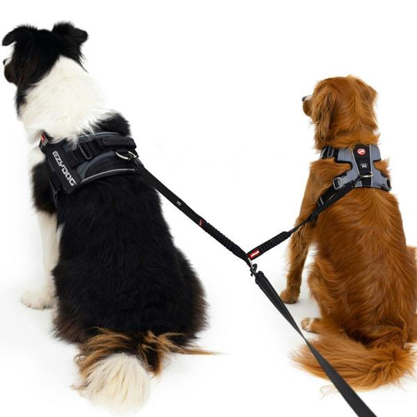EzyDog Zero Shock Dog Lead Coupler