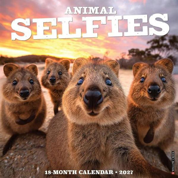 Animal Selfies Calendar 2027, Wall Calendars, Month To View, Animals, Gift