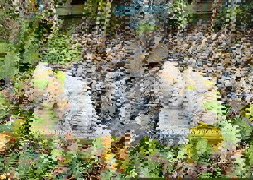 Charming Stone Cast Small Lying Monk in Robe