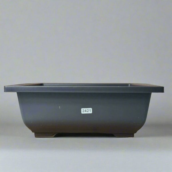 Yorkshire Bonsai Plastic Bonsai Training Pot | Rectangle | 29cm x 21cm x 11cm