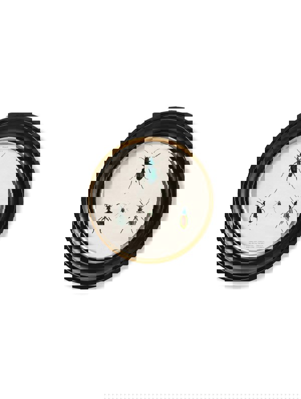 Exceptional Art c.1836 Beetle Plates - Round Frame