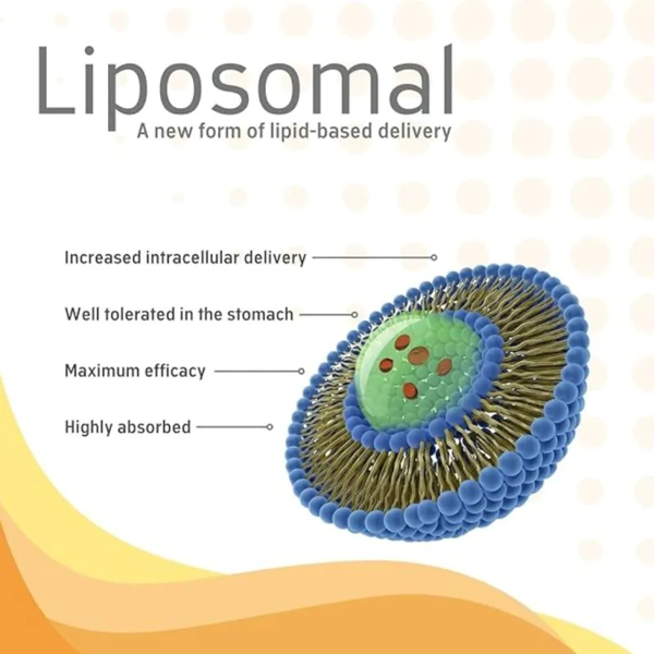 Quest Liposomal Vitamin C 500mg
