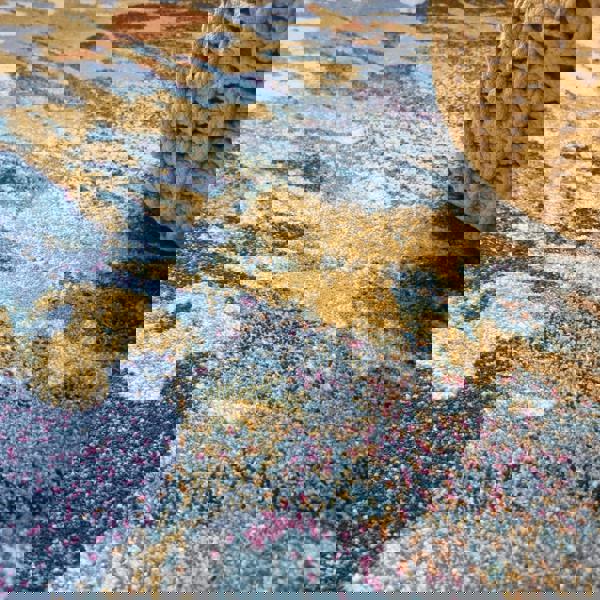 Asiatic Nova NV41 Sonic Blue Rug