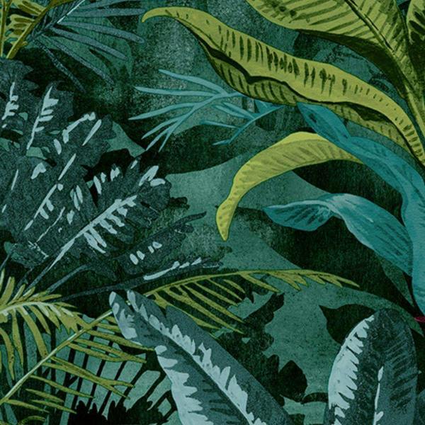 Tropical Rainforest Wallpaper 214727 - Rs image 4