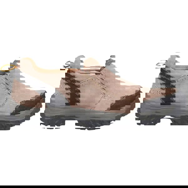 Cotswold Boxwell Hiking Men's Shoes in Tan