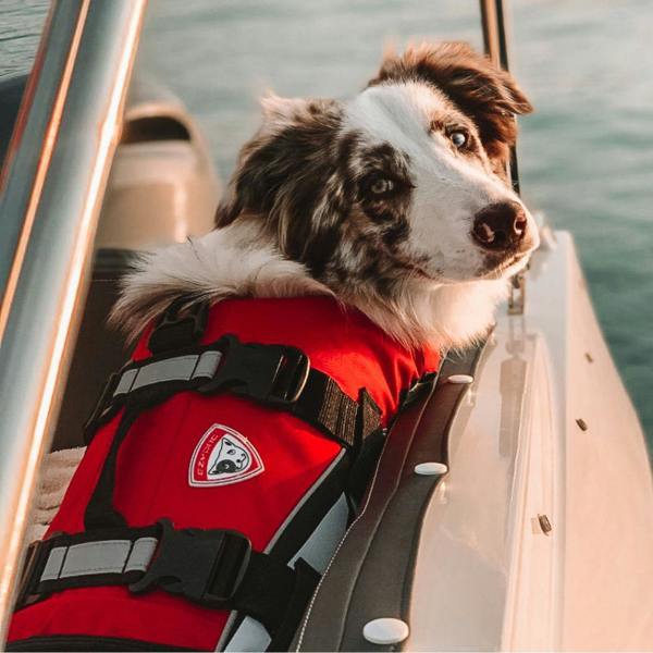 EzyDog DFD Standard Dog Life Jacket in Red