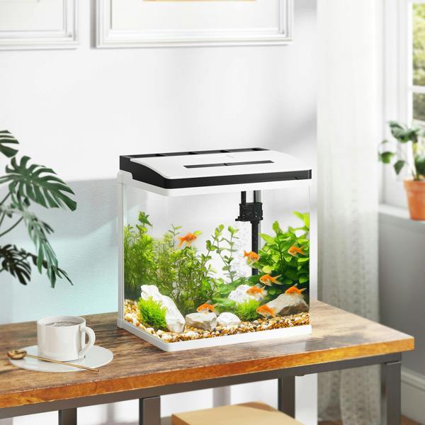 Aquarium