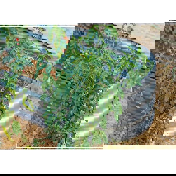 Gr8 Garden Outdoor Raised Bed Planter Oval Galvanised Steel Trough Box 120x61x30cm