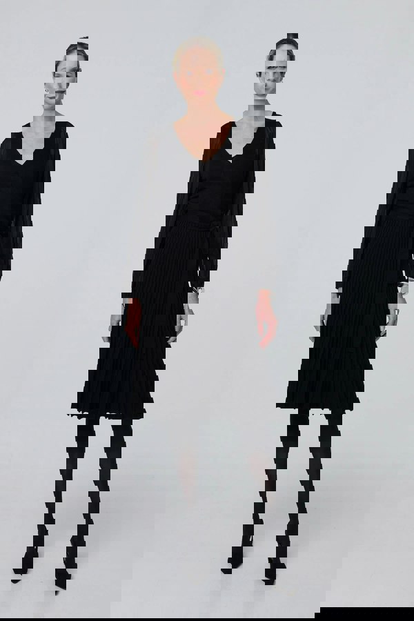 Black | Semi Sheer Pleated Knee length Dress
