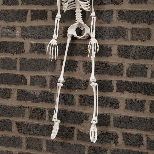 Samuel Alexander 3ft (90cm) Posable Full Body Halloween Skeleton Decoration with Movable Joints