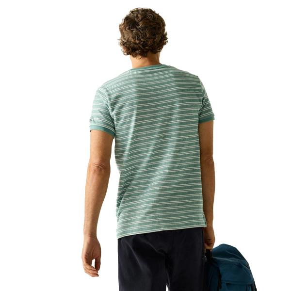 Regatta Mens Benlin Striped T-Shirt - Arctic White - 