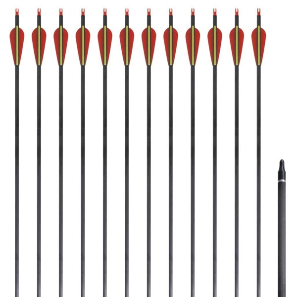 Berkfield Standard Recurve Bow Arrows 30" 0.76 cm Carbon 12 pcs