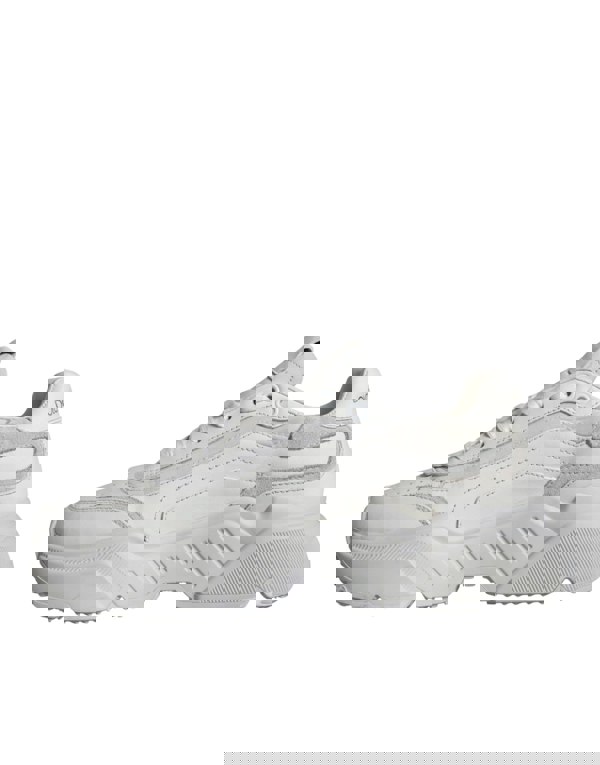 181733974.jpg